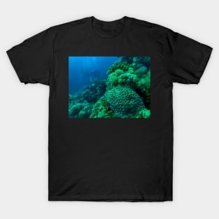 Red Sea coral reef T-Shirt